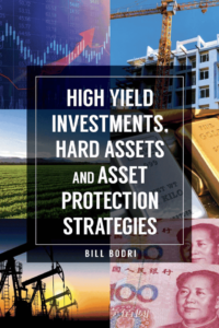 high yield investments, hard aassets, and asset protection strategies book cover